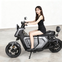 Moto électrique tout-terrain Niu U2 Touring, moteur brushless, batterie lithium 1000W 60V, charge utile 200kg, vitesse 61-80km/h, boîte de rangement centrale Shandong