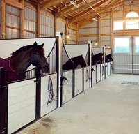 Box de chevaux portables personnalisés en acier galvanisé préfabriqué – Nouveaux boxes de chevaux très demandés à vendre
