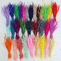 Elfenbeinfarbene Biot-Gänsefedern für Fliegenbinden, Bastelmaterial, DIY-Kostüme, Kopfbedeckungen, Fascinators, Haaraccessoires, Party- und Weihnachtsdekoration