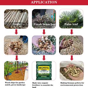 Trituradora de Madera Portátil CE, Trituradora de Ramas, Trituradora de Cáscaras de Coco, Trituradora de Madera en Venta - Product Image 6