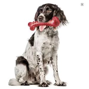Os à mâcher <span class=keywords><strong>pour</strong></span> chiens écologiques de luxe <span class=keywords><strong>pour</strong></span> les chiens agressifs, en caoutchouc durable, saveur bœuf, presque indestructibles, jouets résistants <span class=keywords><strong>pour</strong></span> chiens - Product Image 6
