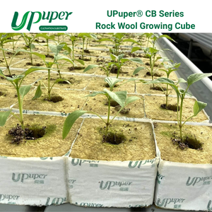 UPuper <span class=keywords><strong>CB</strong></span> Cubos de Lana de Roca de 3*3 Pulgadas para Cultivo Hidropónico/Vertical sin Tierra, Sustrato para Plántulas - Product Image 2
