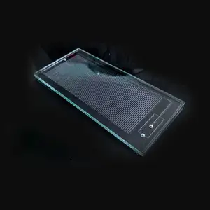 Tùy Chỉnh Mô Hình Khác Nhau Glass Microfluidic Chip