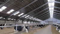 Bâtiment en structure acier de haute qualité à prix compétitifs pour l'élevage de chevaux, de chèvres et de vaches