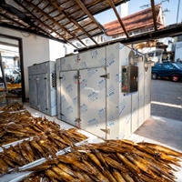Mango's, groenten, beef jerky, fruit en rozijnen droogapparatuur op middelgrote schaal