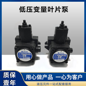 Jylsi Variable Vane Pump Vho 1 Stage Cast <b>Iron</b> Hydraulic Pump For Chemical Applications - Product Image 4