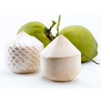 Premium kokosnootpulp, makkelijk te openen ringtrekker, diamantgeslepen, half-ontpitten jonge kokosnoot, direct drinkbaar, 100% vers en zoet