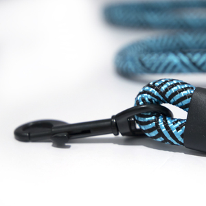 गर्म बिक्री नायलॉन सुरक्षा वॉक रस्सी कुत्ता प्रशिक्षण पट्टा समायोज्य टिकाऊ पालतू कुत्ता पट्टा - Product Image 3