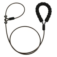 Produit pour animal de compagnie accessoires pour chien laisse fil de fer luxe ensemble collier et laisse pour chat chien