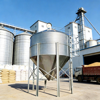 Silo d'alimentation galvanisé en promotion, silo de stockage intelligent et automatique de 1 à 10 000 tonnes de grande capacité pour l'élevage de volailles, de bovins et d'autres animaux d'élevage