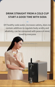 Usine soda machine à eau Soda eau et bricolage potable fabricant soda machine à eau - Product Image 5