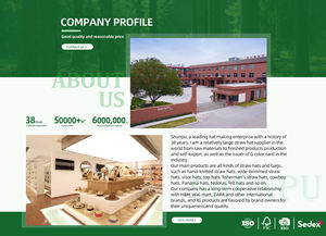 Gran oferta, Sombrero Unisex personalizado, sombrero de fieltro Fedora Panamá con leopardo, banda de PU, decoración para adultos para viajes al aire libre de invierno - Product Image 5