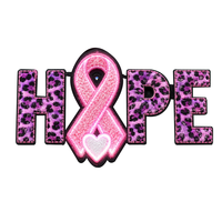 Patchs de sensibilisation au cancer du sein, casque de football, ruban rose, applique brodée à sequins, thermocollant pour vêtements