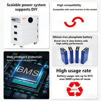 Paket Baterai Lithium LiFePO4 Kenya Poland 51.2V/48V 10-30kWh Sistem Baterai Dinding Rumah DIY All-in-One Inverter On Grid