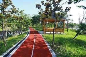 러닝 트랙 및 운동장 표면을 위한 내구성 있는 자외선 차단 EPDM 고무 과립 - Product Image 4