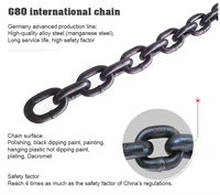 Chaîne de levage noire en acier allié enduit de PVC, grade 80 G80, grade 100 G100, pour l'exploitation minière, avec homologation CE