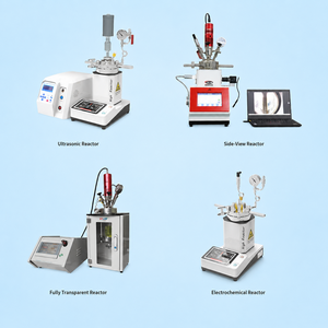 Réacteur de type spécial HT-CSB <span class=keywords><strong>à</strong></span> haute pression 12,5 MPa en alliage de nickel Inco avec manomètre et disque de <span class=keywords><strong>rupture</strong></span> - Product Image 3