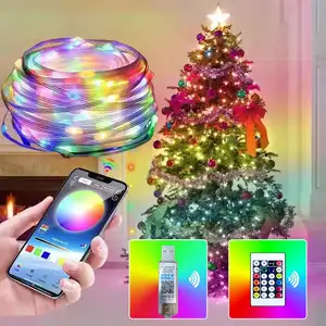 Home Party Wedding Decoration 10M Christmas Light Led Curtain Light For Indoor Light