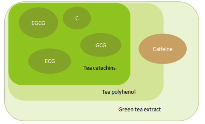 CAS 3081-61-6 %98 L-Theanine EGCG Yeşil Çay Ekstresi Çay Polifenol Tozu 5