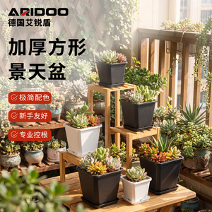 Maceta Cuadrada Gruesa Airi Shield para Suculentas, Maceta de Plástico para Vivero, Ideal para Esquejes de Lithops, Fácil de Usar para Principiantes, Control de Raíces - Product Image 1