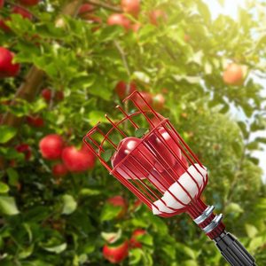Cesta profunda para jardín, <span class=keywords><strong>recolector</strong></span> <span class=keywords><strong>de</strong></span> frutas, equipo colector <span class=keywords><strong>de</strong></span> frutas, <span class=keywords><strong>recolector</strong></span> <span class=keywords><strong>de</strong></span> árboles para manzanas, Mango, pera, naranja, aguacates - Product Image 6