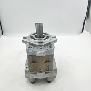 Pompe à engrenages hydraulique ZHENYUAN YP YP10 YP10-3D2H2-L YP10-3A2H2-R YP10-5A2H2-R YP10-7D2D2-L à prix avantageux - Product Image 3