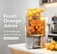 Presse-agrumes commercial multi-têtes en acier inoxydable, machine à jus automatique pour oranges et agrumes frais, idéale pour les magasins de détail et les buffets