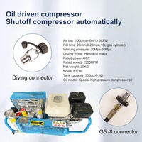 Compresseur d'air portable TUXING OEM 3.5CFM 100LPM haute pression 4500psi 300bar à essence pour sports nautiques et plongée sous-marine PCP