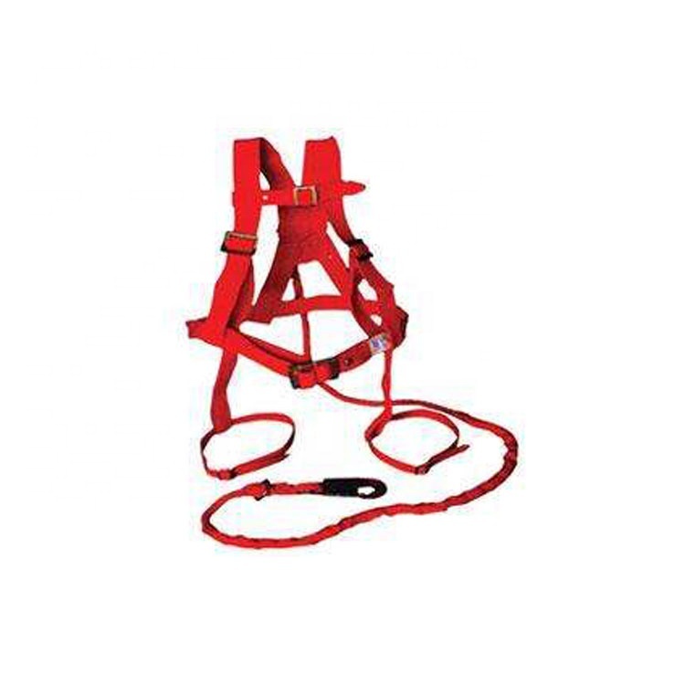 Various Sizes and Types Electrical Safety