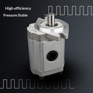 Pompa Idraulica <span class=keywords><strong>a</strong></span> Ingranaggi HUADEYEYA <span class=keywords><strong>Serie</strong></span> CBN/CBW/CBT/CBF-F425/416/425/432 ad Alta Pressione 250 Bar, Durevole - Product Image 4