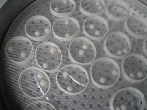 Criba Vibratoria Multicapa para Virutas de Madera, Separador Vibratorio - Product Image 6