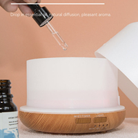 Nouveau Mini humidificateur ultrasonique à brume fraîche de 300ml, diffuseur d'huiles essentielles à 7 couleurs avec lumière Led