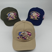 Op voorraad: Nieuwe Amerikaanse 250-jarig jubileum luxe Oxford driedimensionaal geborduurde souvenir baseballcap