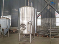 Cuve de Fermentation d'Alcool sous Pression Brite Tank avec Pompe Tonsen 10T 20T 30T