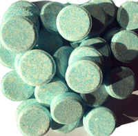 La Croissance des cheveux Bonbons À La Menthe Pour Femmes et Hommes sans sucre Bonbons