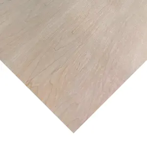中国制造商很容易油漆单板滑板1 4枫木胶合板出售