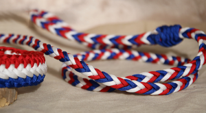 Ensemble laisse et collier pour chien tricolore <span class=keywords><strong>bleu</strong></span> blanc rouge, imperméable, résistant, pour l'entraînement et la promenade - Product Image 6