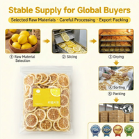 Tranches de citron séchées ISO HACCP 100% citron, ingrédient de fruit déshydraté, emballage personnalisé disponible pour les acheteurs mondiaux, exportation