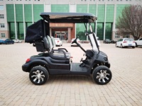 Nuevo Modelo 2025: Carro de Golf Eléctrico de 2 Plazas con 4 Ruedas y Soporte para Bolsa de Pelotas, Buggy Eléctrico para Caza en Venta