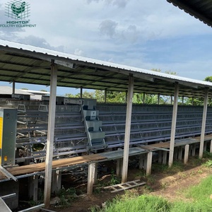 Système entièrement automatique de haute qualité ferme de volaille fil galvanisé A Type couche oeuf poulailler batterie Cages à vendre - Product Image 1