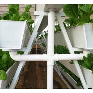 Systèmes hydroponiques verticaux pour fraises