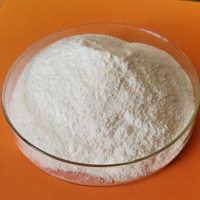 Selulosa Eter HPMC HPMC Metil Selulosa Tylose 200000 Viskositas Bubuk Putih Aditif Kemurnian 99% 25kg/karung Tahan Air