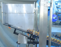 Etiquetadora Automática de Tubos Rodantes, Etiquetadora de Bobinas para Productos Químicos Diarios