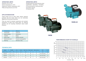 Pompe à eau <span class=keywords><strong>auto</strong></span>-<span class=keywords><strong>amorçante</strong></span> certifiée CE série 1WZB, 0,37 kW-1,1 kW, moteur en cuivre pur pour usage domestique - Product Image 6