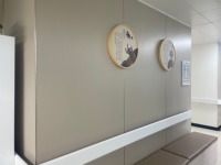 Panneaux muraux modernes Pinger, imperméables, ignifuges et antistatiques, pour hôpitaux, soins de santé, commerce, usage domestique et divertissement