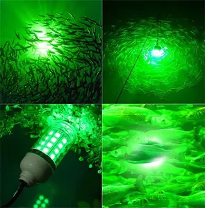 Luz LED de pesca al por mayor de 12V, impermeable, señuelo, lámpara buscadora de peces, atrae camarones, calamares, krill, cuentas de colores - Product Image 4