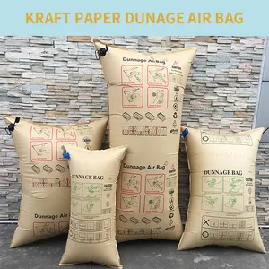 Dreammao Pvc veya Kraft Dunnage şişirme hava yastığı