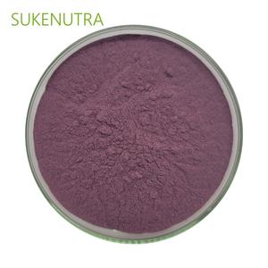 Bubuk ekstrak <span class=keywords><strong>Bilberry</strong></span> standar 25%, suplemen diet bersertifikasi GMP - Product Image 5