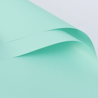 Factory Custom Double-Sided Resin Coated Macaron Solid Color Floral Bouquet Wrapping Waterproof Paperboard Premium Quality