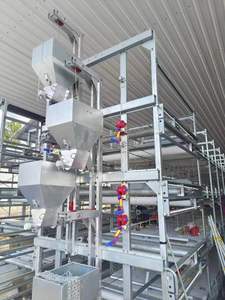 Poultry Farm Equipment Automation Egg <strong>Cage</strong> Automatic <strong>Layer</strong> <strong>Cages</strong> System - Product Image 2